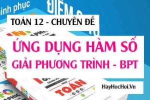 Ứng dụng Hàm số (Sử dụng tính đơn điệu) giải Phương trình, Bất phương trình - Toán lớp 12